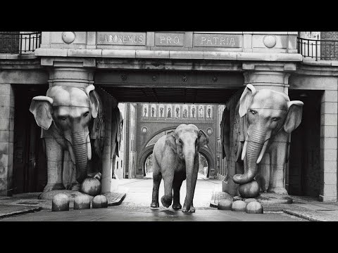 REAL ELEPHANTS on Copenhagen's Streets I Fun Copenhagen History, Carlsberg Byen