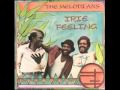 The Melodians - Hold On Tight
