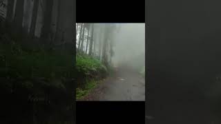 Download lagu Kabutnya Luar biasa || Ebiet G Ade - Menjaring Matahari mp3