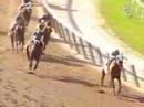Point Given - 2001 Belmont Stakes (NBC)