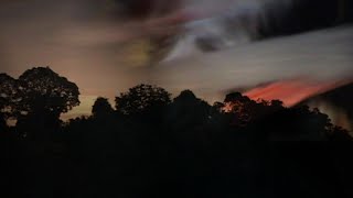 Nocto & Elisa - Monkey Spirit - You're a Woman, I'm a Fish (CLIP)