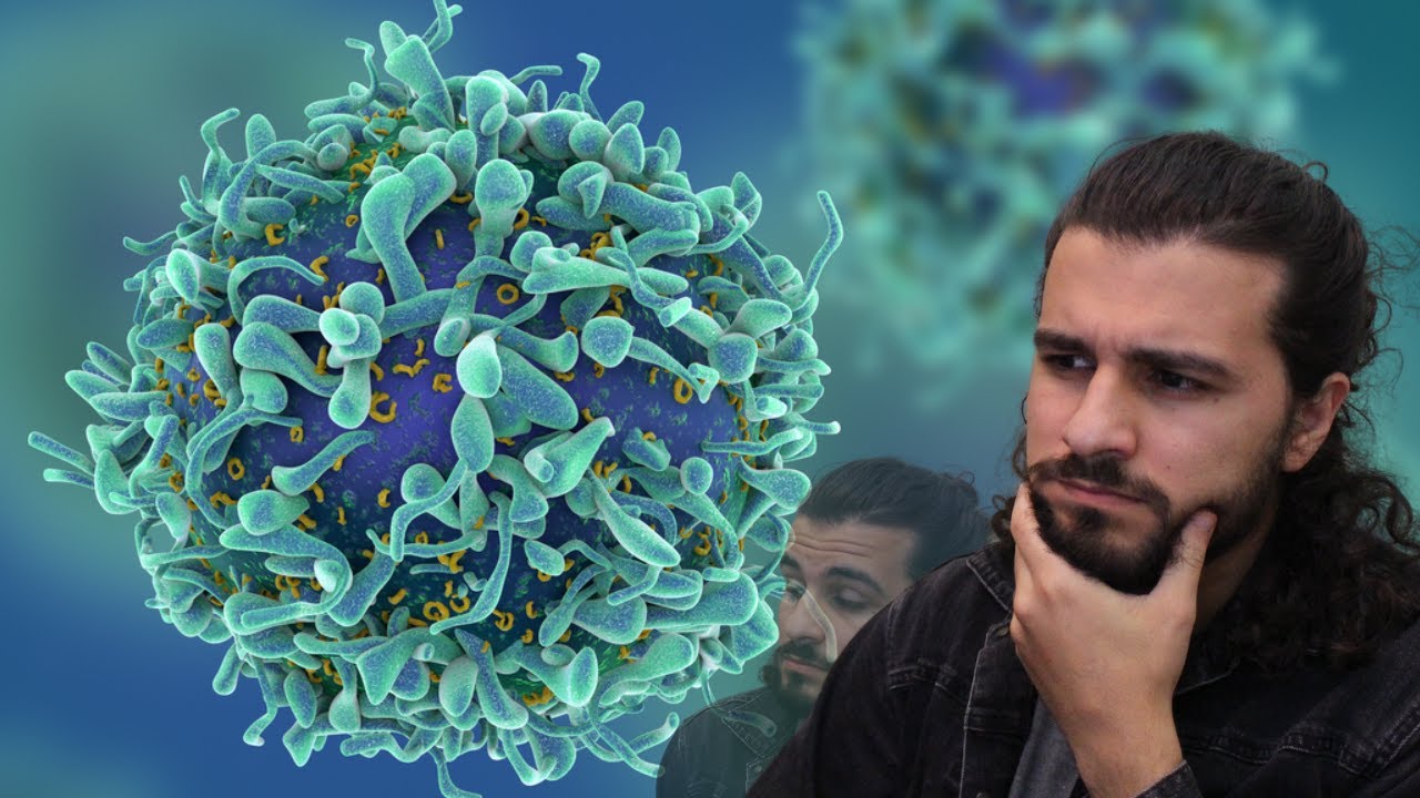 What the heck is Artificial Immune System??? | AI Paper Review