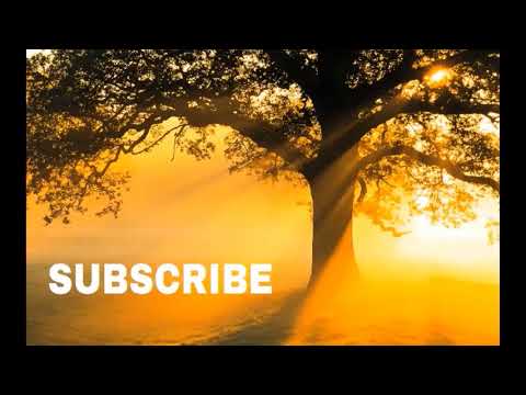 8 HOURS Most Beautiful Relaxing Voice For Stress Relief By Ameer Shamim