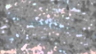 Frank Sinatra The Best Is Yet To Come