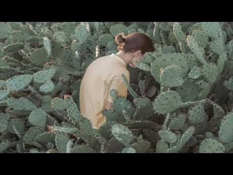 Human Act and Its Morality Q & A 3