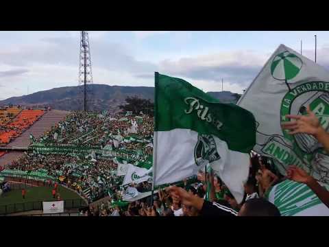 "Nacional vs millonarios canticos los del sur 2014" Barra: Los del Sur &bull; Club: Atlético Nacional