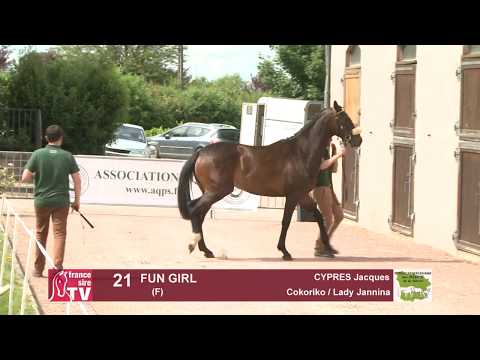 Concours Cercy 2017 - Lot 21 - Fun Girl