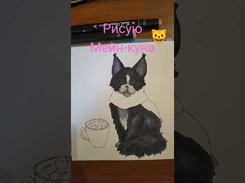 Рисую Мейн-куна 🐱🐈