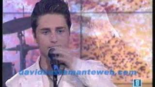 David Bustamante - Por ella