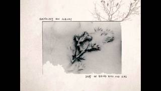 Sketches For Albinos - Daniel likes birds