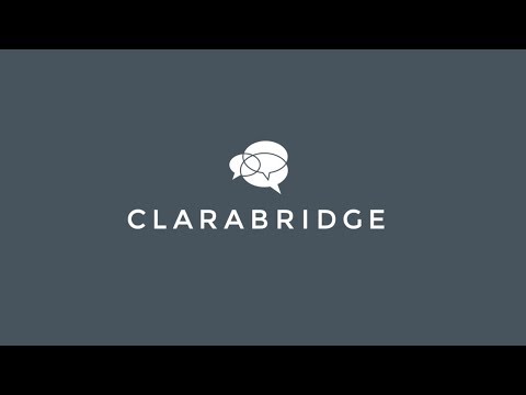 Clarabridge Partner Program