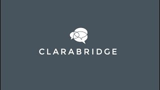 Clarabridge Partner Program