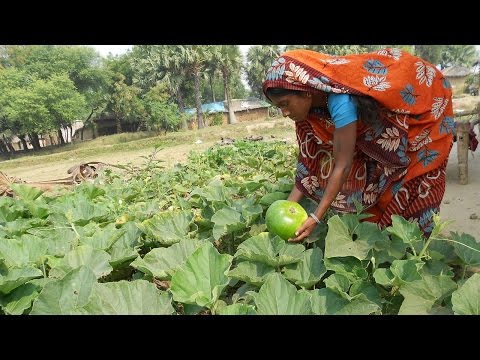 Plant Kitchen Gardens for Families in Need, India