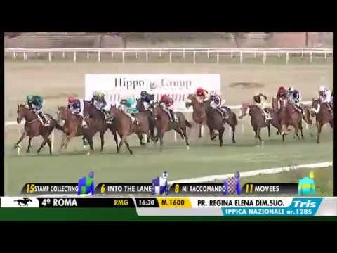 2017.05.01 Premio Regina Elena (Italian 1000 Guineas) - Mi Raccomando