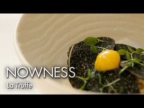 The world's most sought-after fungus