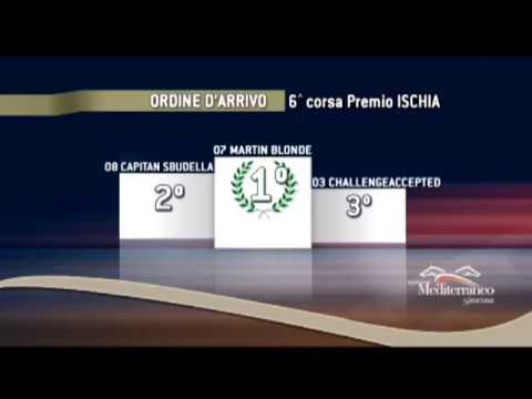 Galoppo Corse del 7 Ottobre 2017