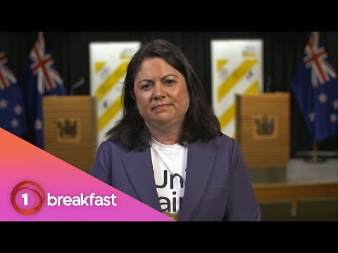 Further testing to paint picture of Covid-19 community transmission - Ayesha Verrall