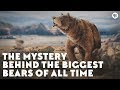 The Mystery Behind the Biggest Bears of All Time