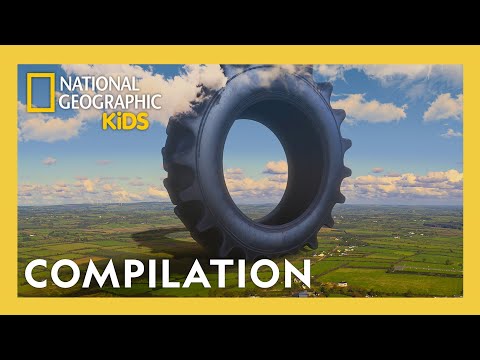 Cars, Tractors and Fire Trucks Made in a Day!🚗🚜🚒 | 1 Hour | Full Episode Compilation | @natgeokids