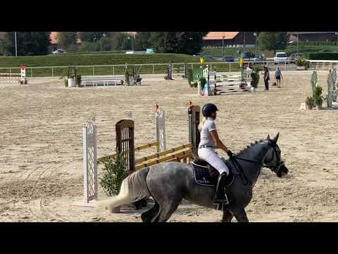 4j. Wallach (Hickstead White x Carthago Sun I)