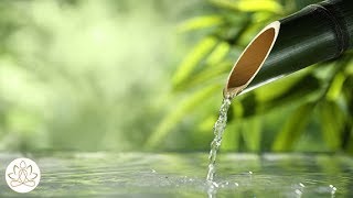 Soothing Nature Sleeping Music: Peaceful Sleep Music, Relaxing Calm Sounds, Gentle Water Sounds 🌄