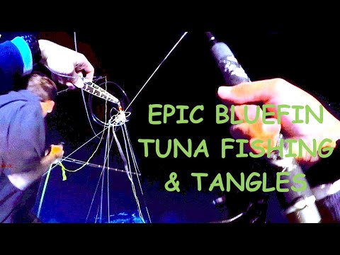 1st (80 LBS) BLUEFIN TUNA FISHING ON NEW LO-AN 1.5 DAY, SAN DIEGO 6/1/2022, FULL VERSION