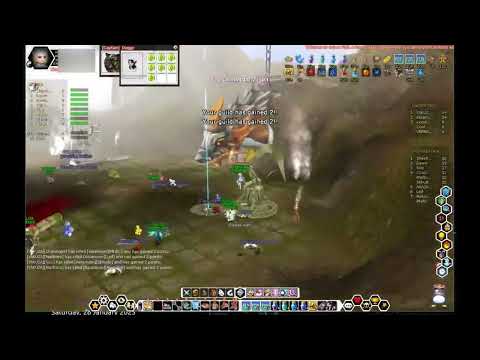 Ankou FlyFF Siege  - Chasing69