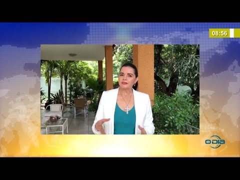 BOM DIA NEWS 31 03 20  Deputada Teresa Britto eÌ contra audieÌ‚ncia puÌblica virtual