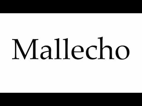 How to Pronounce Mallecho