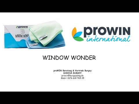 proWIN WINDOW WONDER