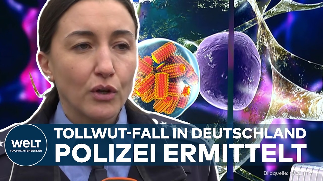 DEUTSCHLAND: Tollwut in Rheinland-Pfalz - Importierter Welpe entfacht Debatte über illegalen Handel