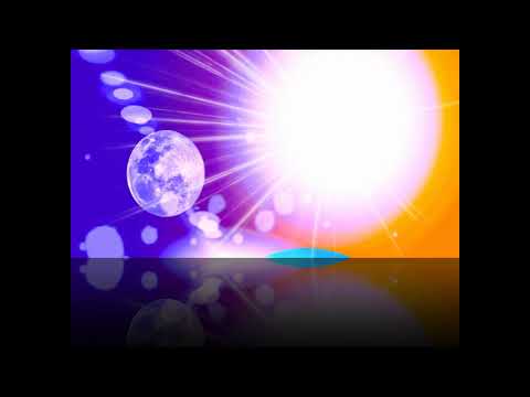 UPDATE: AUFSTIEG DER MENSCHHEIT?