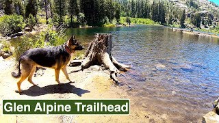 Glen Alpine Trail Hiking with German Shepherd Hiking with Dog in the wilderness - forest