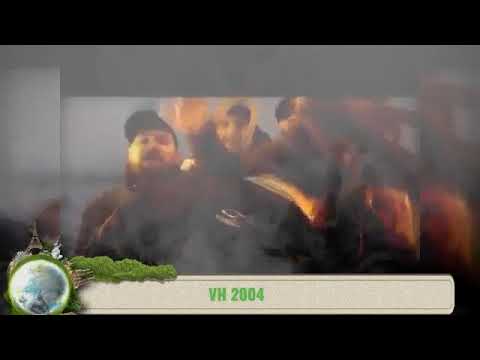 vacca dal 2004 al 2020.