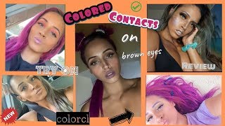 COLORCL COLORED CONTACTS REVIEW: Try on | Weekly Edition | Siesta Package