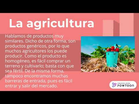 Catalina Campos Caruso