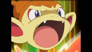 The story of Ash's Chimchar
