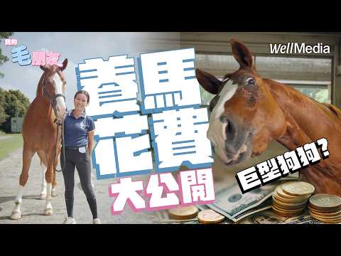 養馬日常公開!馬術盛裝舞步全記錄 挑戰身心平衡的藝術【我的毛朋友】EP8