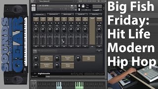 Video thumbnail for Big Fish Friday: Hit Life - Modern Hip Hop Review - SoundsAnGear.com by SoundsAndGear