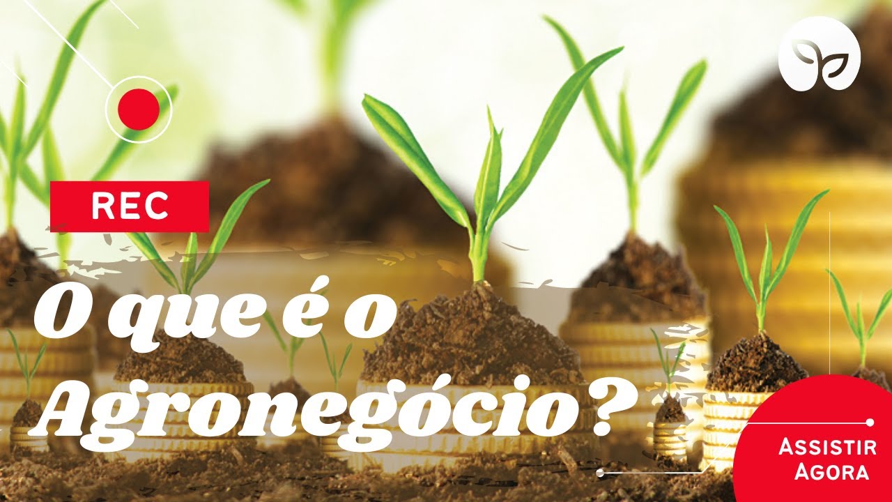 AGRO | Qual a diferença entre agricultura familiar e agronegócio?