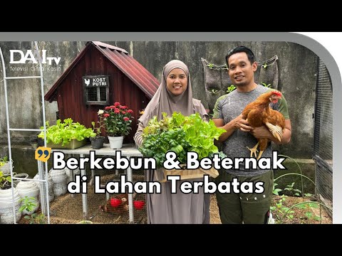 Berkebun di Lahan Terbatas