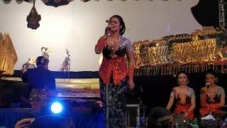 Download lagu Ki Eko Prisdianto & Ardia Diwang Cinta Terlarang Campursari New Kusumawardhani T Gunung 04/03/2019 mp3