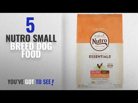 download lagu mp3 mp4 Nutro Wholesome Essentials Healthy Weight Small Breed, download lagu Nutro Wholesome Essentials Healthy Weight Small Breed gratis, unduh video klip Nutro Wholesome Essentials Healthy Weight Small Breed