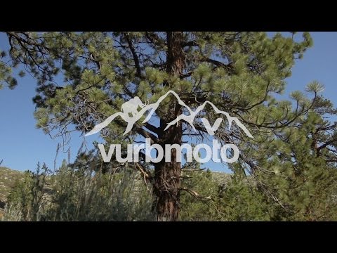 Vurb Select | Mammoth Minis ft. Drake / Mullenix / Mumford - vurbmoto