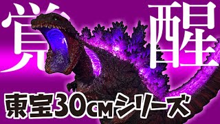 【東宝30㎝シリーズ】荒ぶる神の化身シンゴジラ降臨【レビュー】