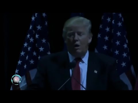 Bučke E08P03 - TRUMP V TEMI