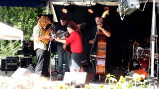 Jack Danielle's String Band video 1.MOV