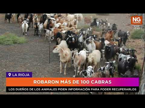 NGFEDERAL - ROBARON MÁS DE 100 CABRAS - LA RIOJA