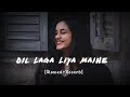 Dil Laga Liya Maine Slowed Reverb Amit Music Slowreverb Lofi Uditnarayan Alkayagnik
