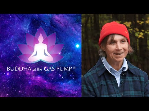 download lagu mp3 mp4 A Buddhist Podcast The Reluctant Buddhist The Experiences Part 1, download mp3 A Buddhist Podcast The Reluctant Buddhist The Experiences Part 1 free downloadn, video klip A Buddhist Podcast The Reluctant Buddhist The Experiences Part 1